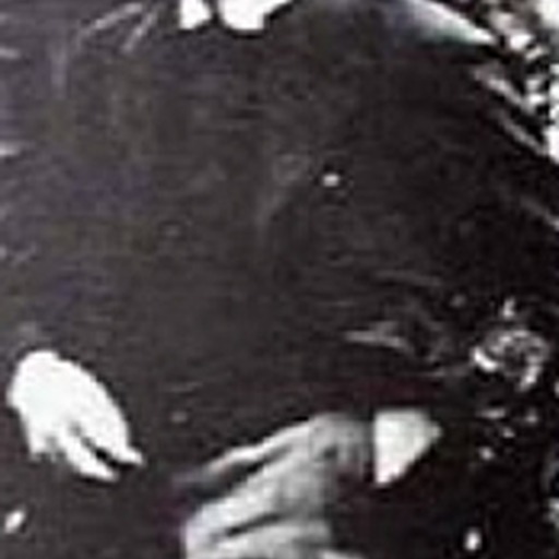 Portrait of Félix Pissarro