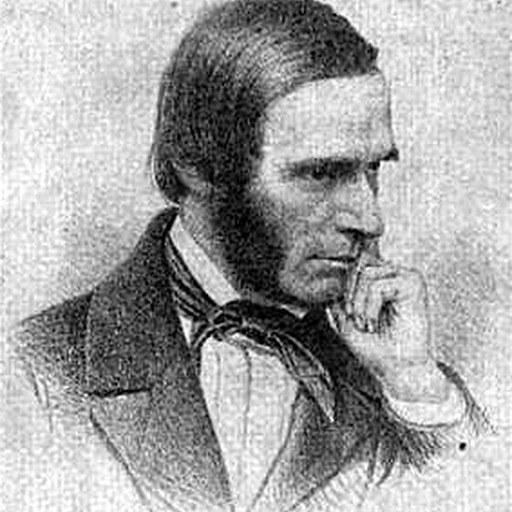Portrait of Albert Gallatin Hoit