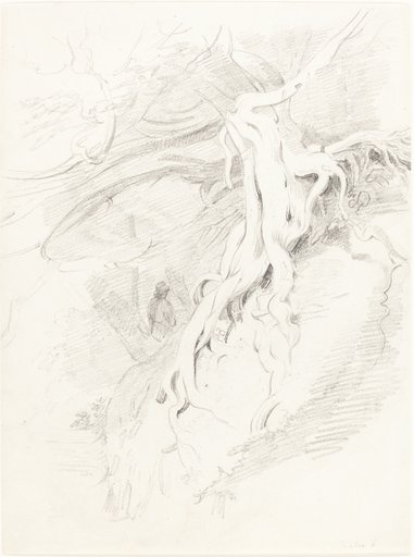 Portrait of Thales Fielding
