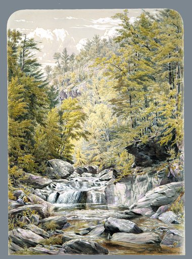 Portrait of William Rickarby Miller