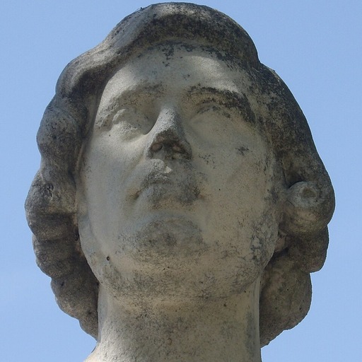 Portrait of Théodore Caruelle d'Aligny
