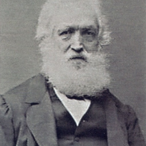 Portrait of Louis Buvelot