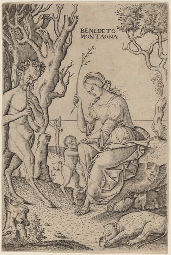 Portrait of Benedetto Montagna