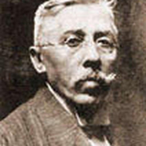 Portrait of Aurélio de Figueiredo