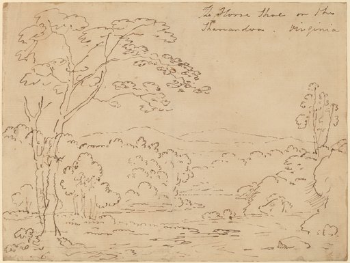 Portrait of Joshua Shaw