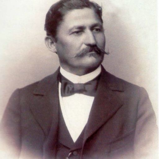 Portrait of Sava Henția