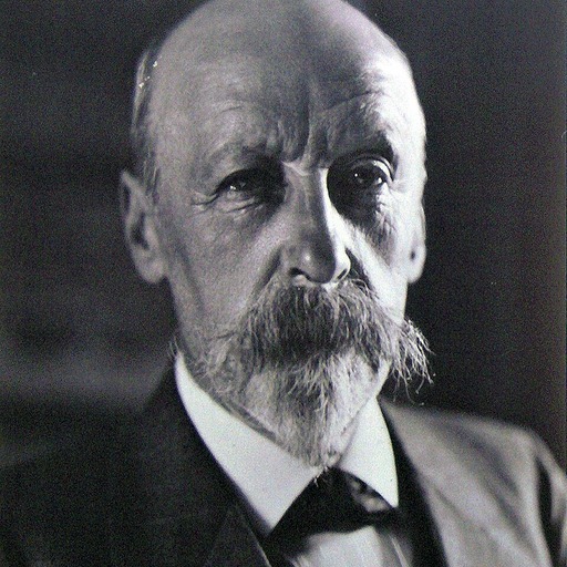 Portrait of Emile Claus