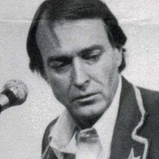 Portrait of Llyn Foulkes
