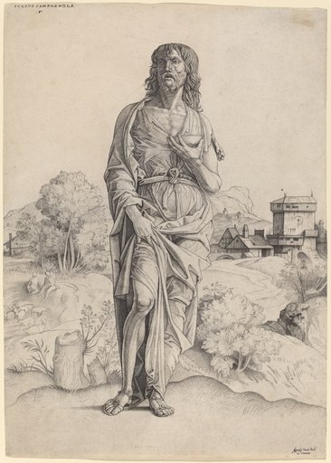 Portrait of Giulio Campagnola