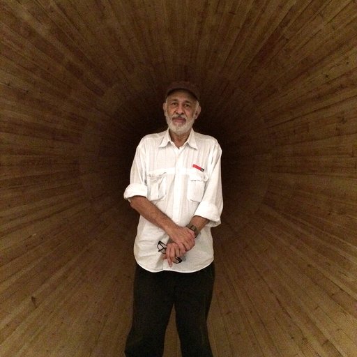 Portrait of Cildo Meireles