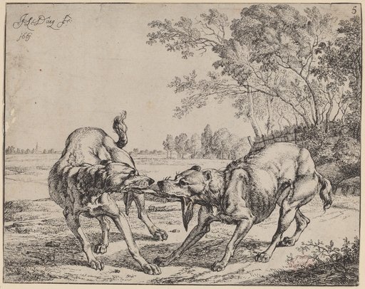 Portrait of Jan le Ducq