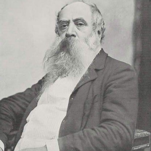 Portrait of Mosè Bianchi