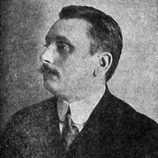 Portrait of Costin Petrescu