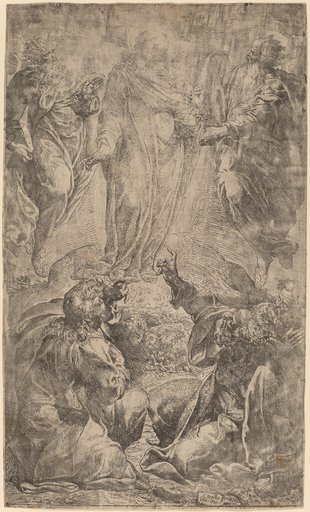 Portrait of Camillo Procaccini