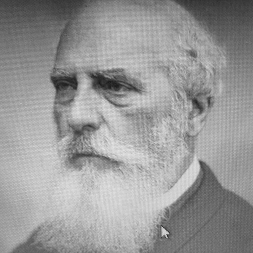 Portrait of Édouard de Beaumont
