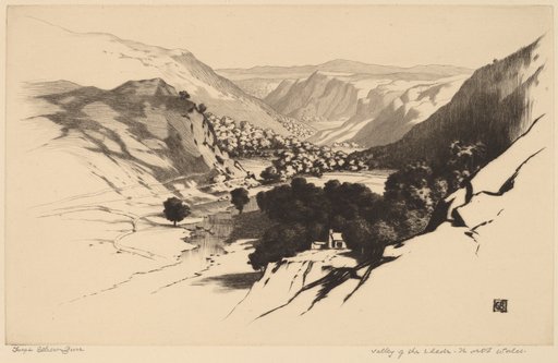 Portrait of George Elbert Burr