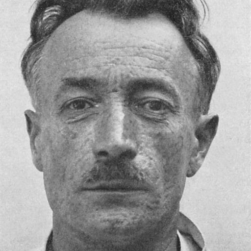 Portrait of František Kupka