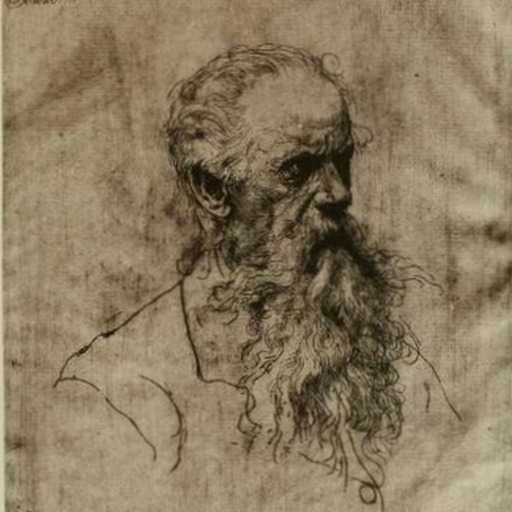 Portrait of Willem Linnig the Elder