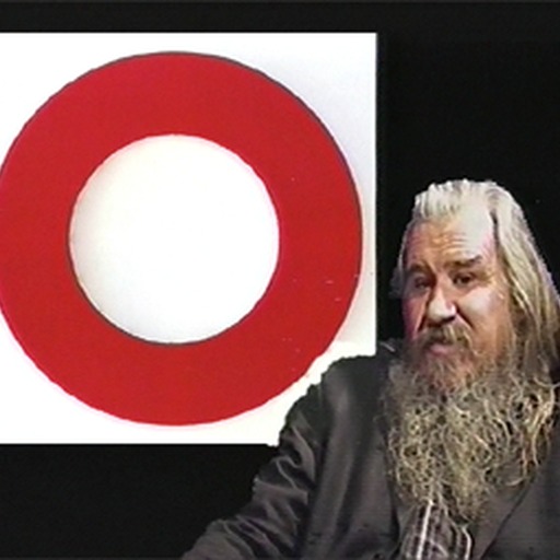 Portrait of Olivier Mosset