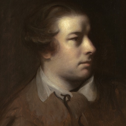 Portrait of Francis Hayman
