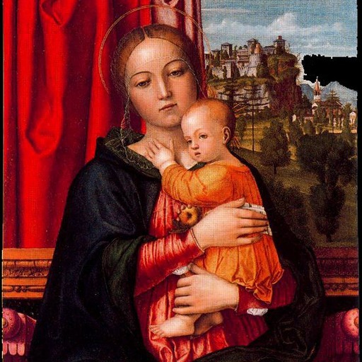 Portrait of Francesco Morone