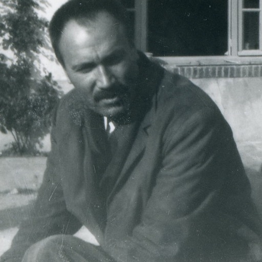 Portrait of Zoran Mušič