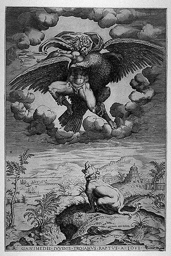 Portrait of Nicolas Beatrizet