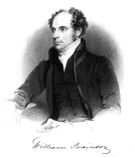 Portrait of William Swainson