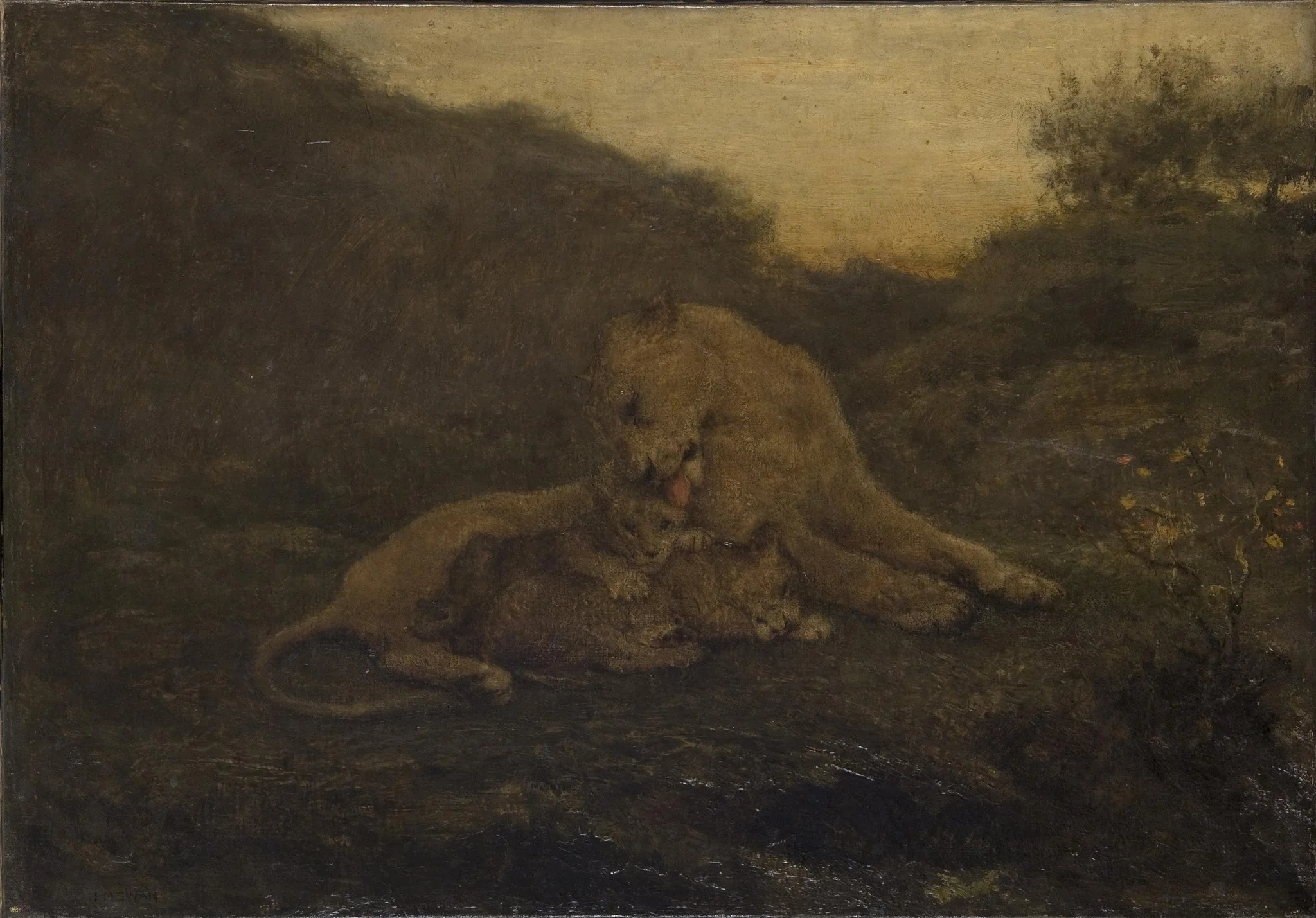 A Lioness and Cubs