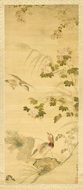Flowers and Birds