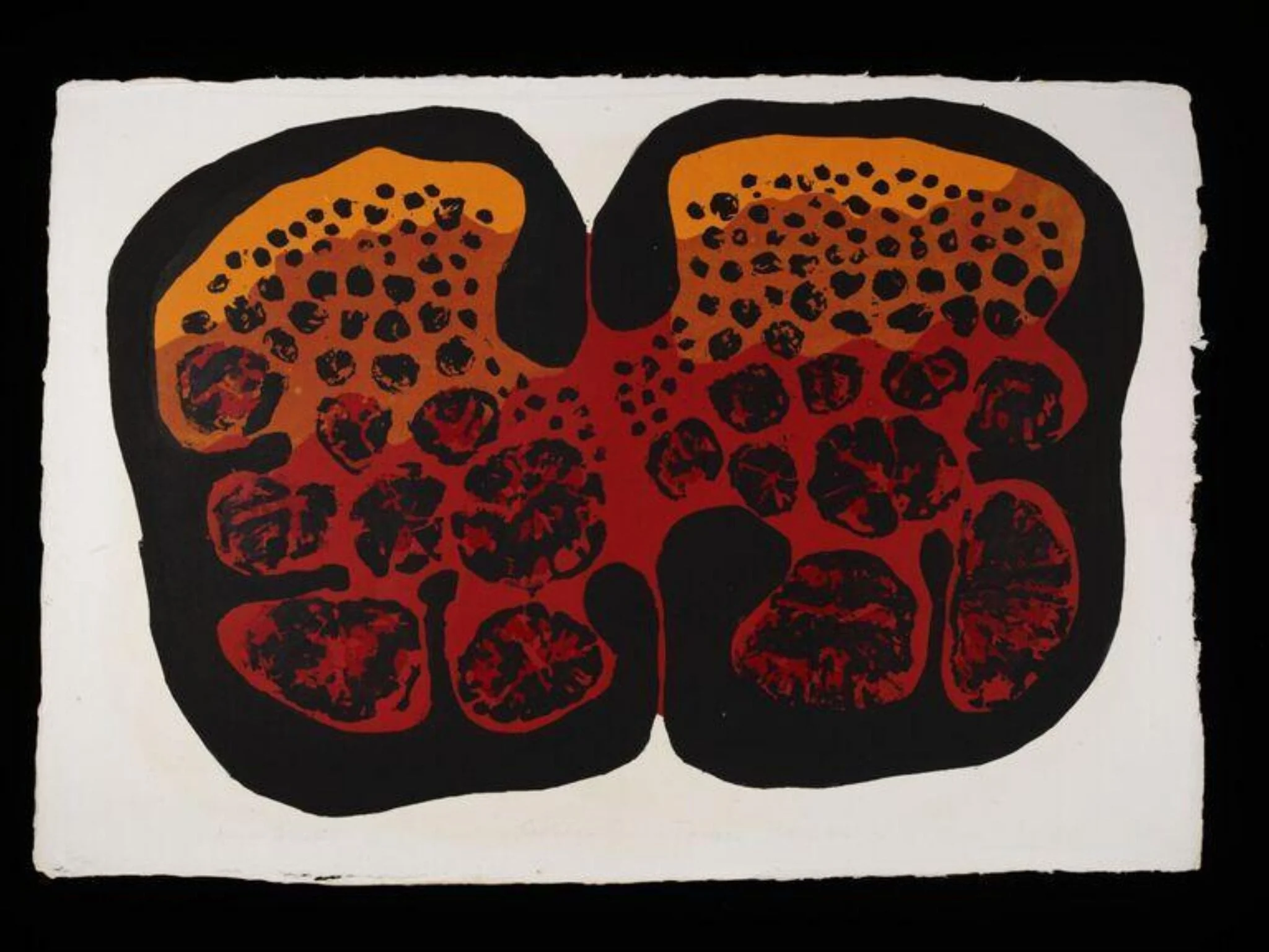 Embryo