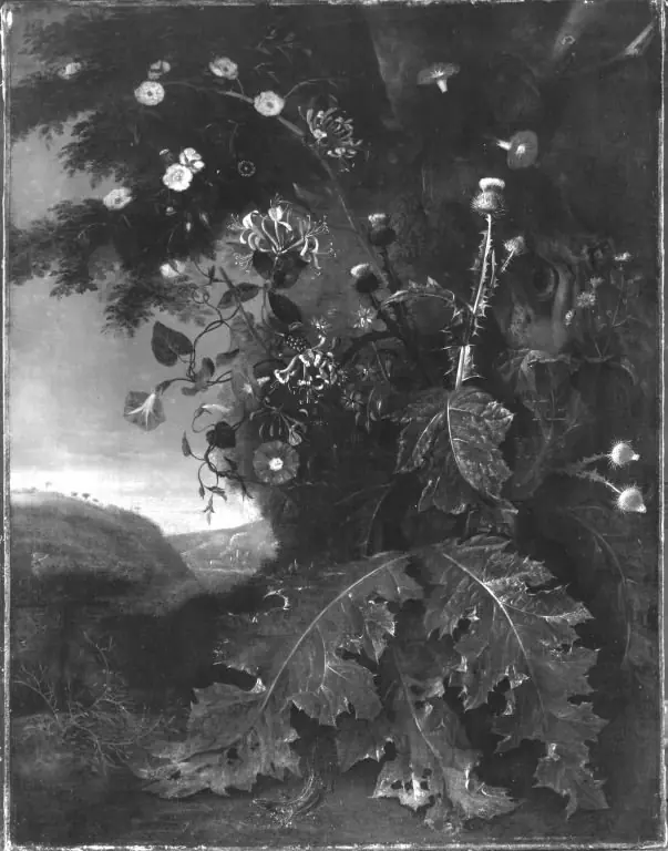 Q30098062