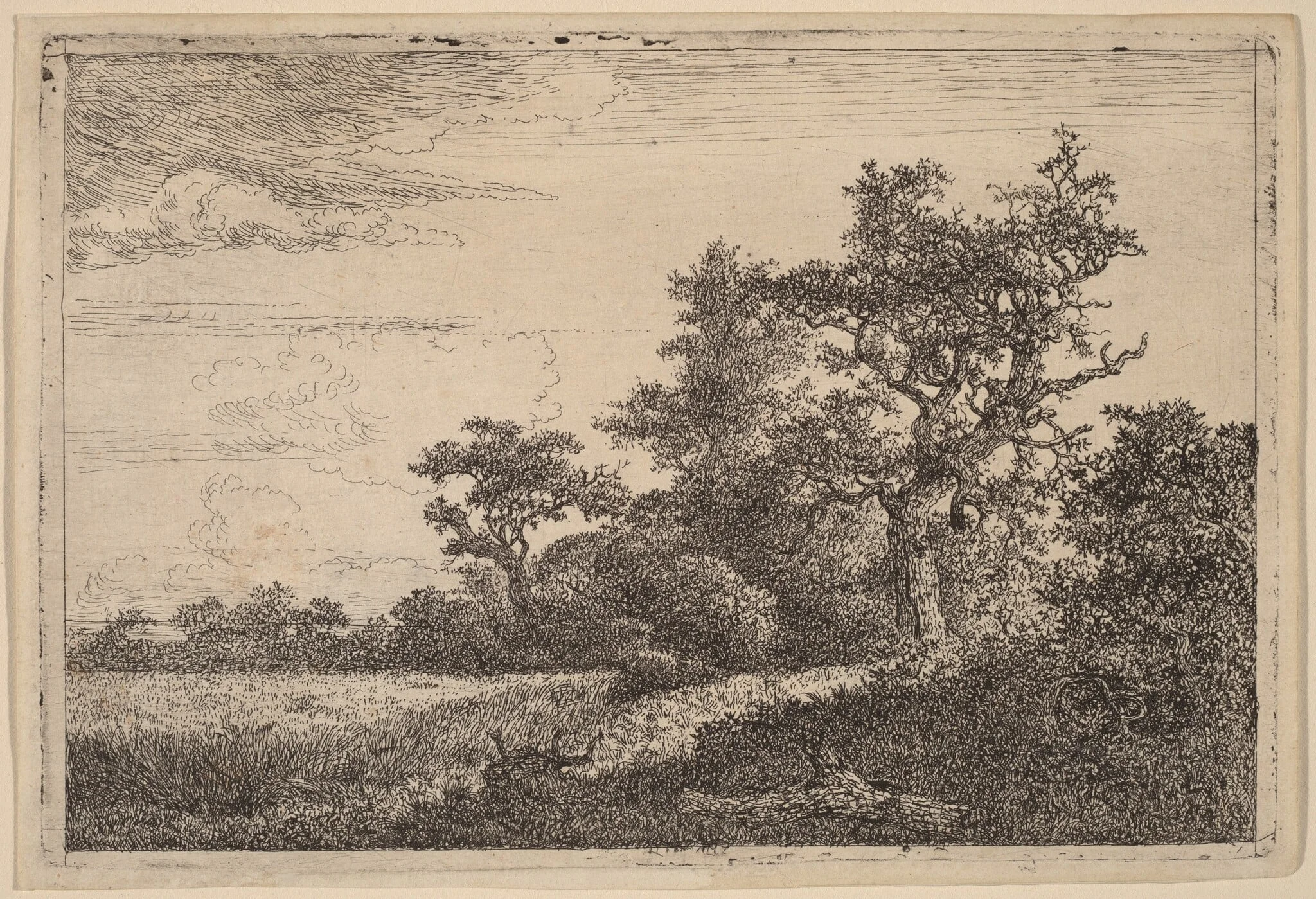 Grain Field at the Edge of a Wood (Corn Field), by Jacob van Ruisdael, ink, 1655