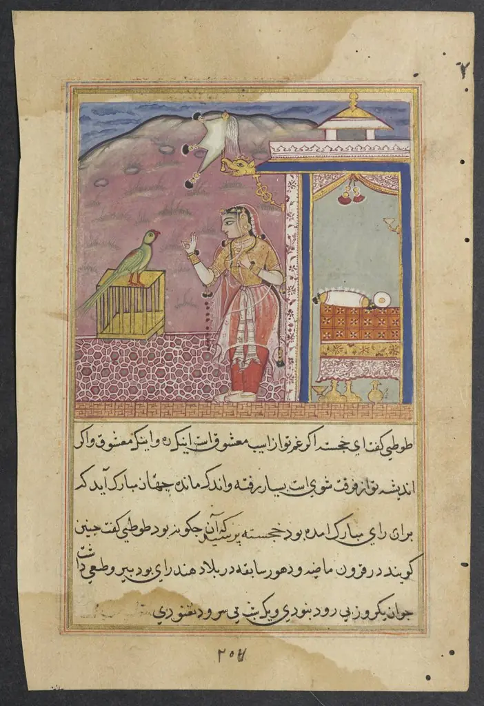 The parrot addresses Khujasta at the beginning of the forty-fourth night, from a Tuti-nama (Tales of a Parrot)