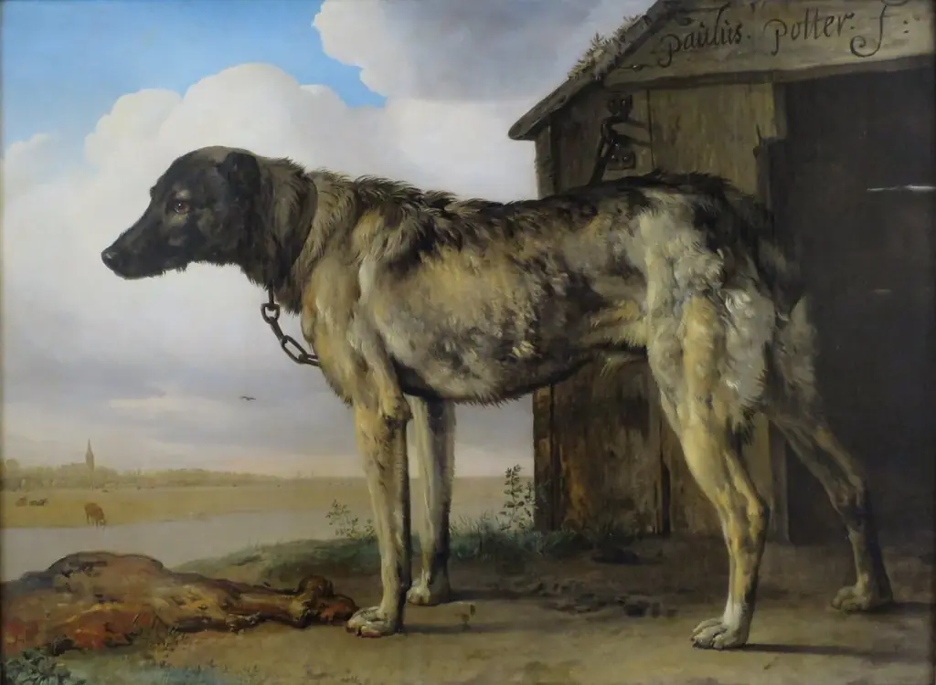Wolf-Hound