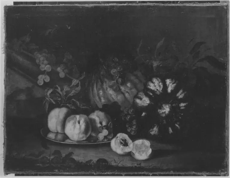 Fruit still-life