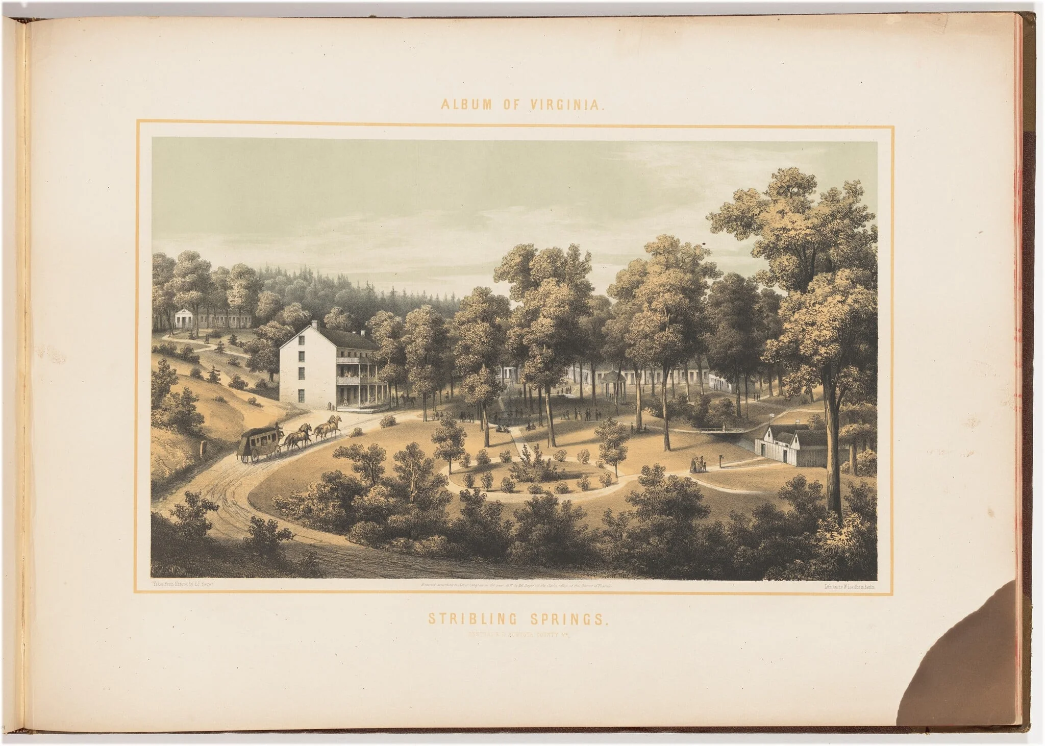 Stribling Springs, by Edward Beyer, ink, 1857