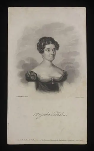 H Beard Print Collection