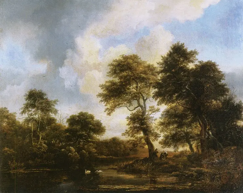 Wooded landscape with swans in a pond