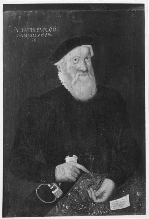 Ein Botaniker, by Unknown, unspecified, 1566