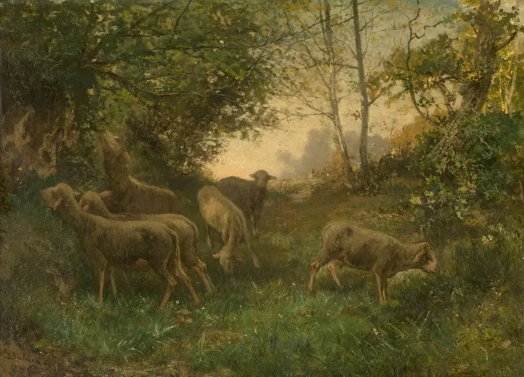 Sheep on the Fringe of the Wood