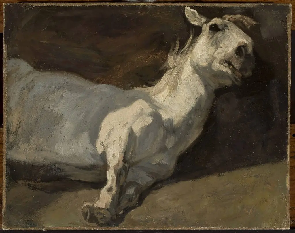 White horse stretched on the ground