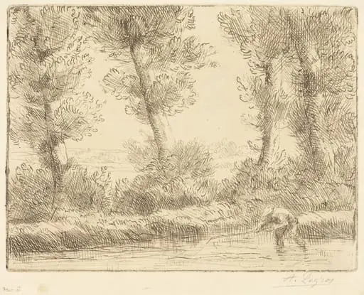 Banks of the Liane (Les bords de la Liane)
