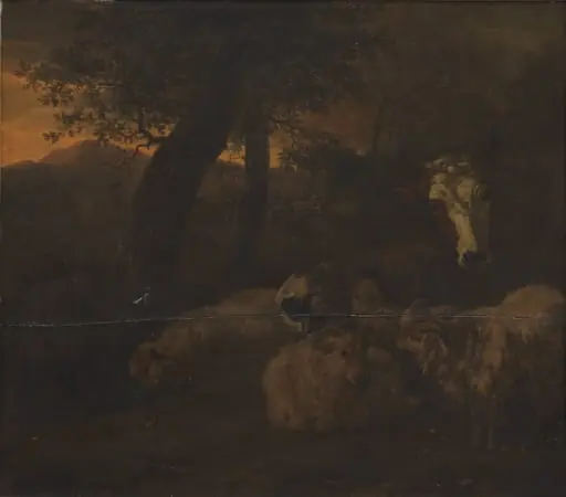 Flock of Sheep in a Wood