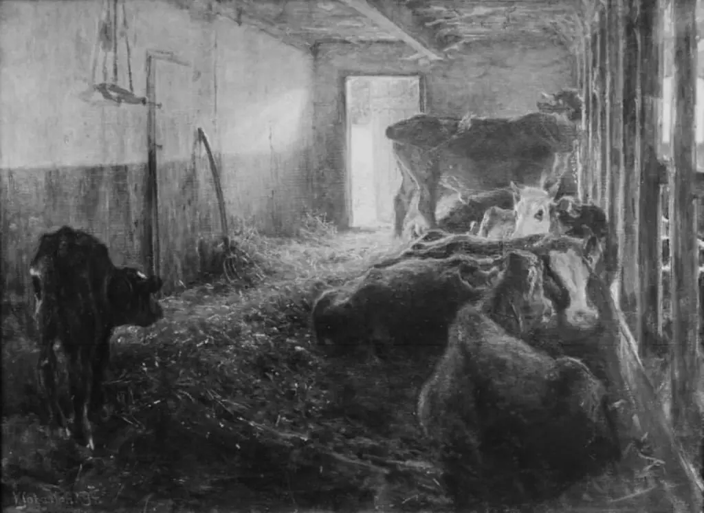 A Cowshed