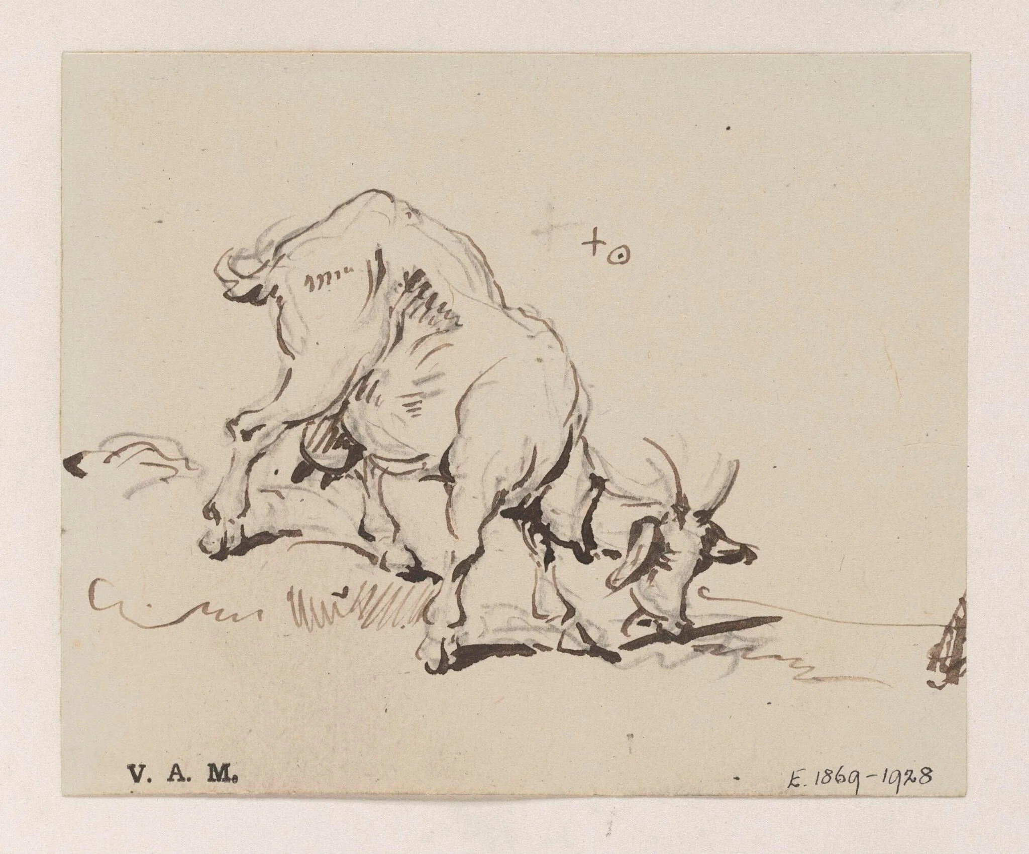 A grazing goat, by George Chinnery, 19