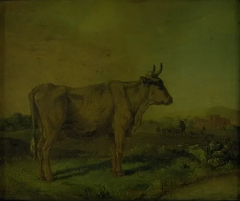 A Cow, by Paulus Potter, unspecified, 1647