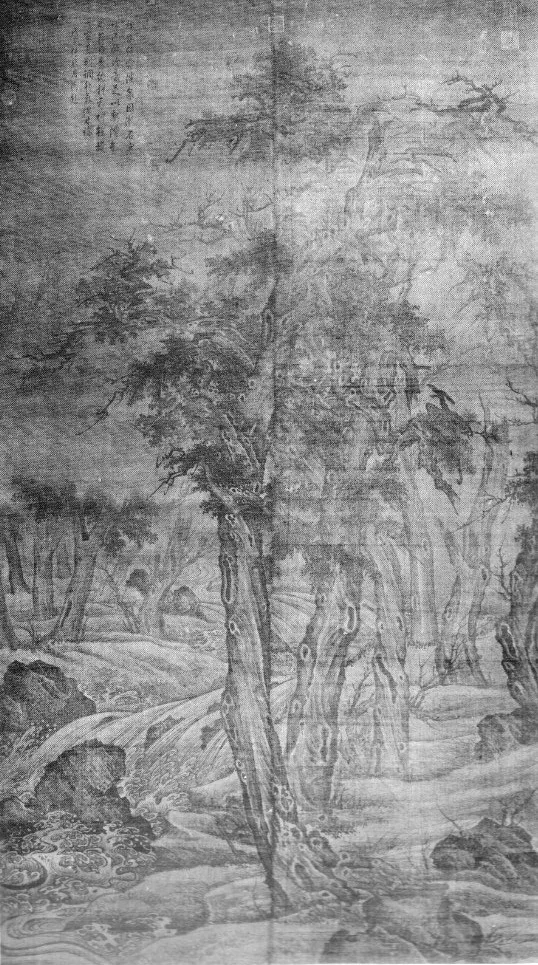Wintry Forests
