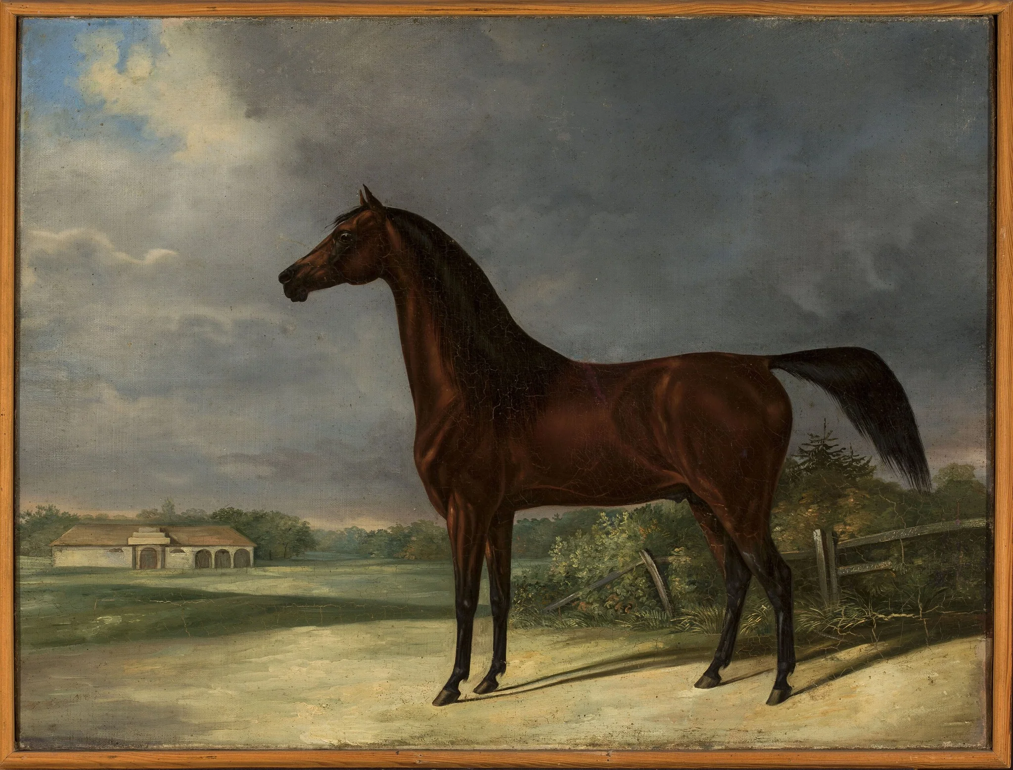 Bay horse, by Friedrich Leopold Bürde, oil, 1834