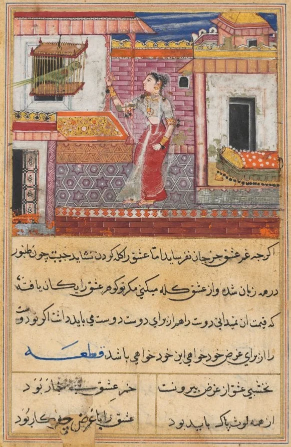 The Parrot Addresses Khujasta at the Beginning of the Thirteenth Night, from a Tuti-nama (Tales of a Parrot)